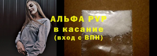 молекула духа Вяземский