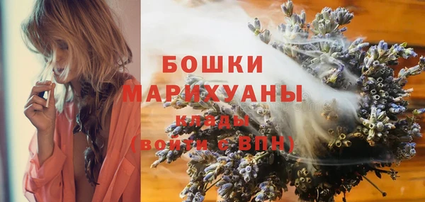 молекула духа Вяземский